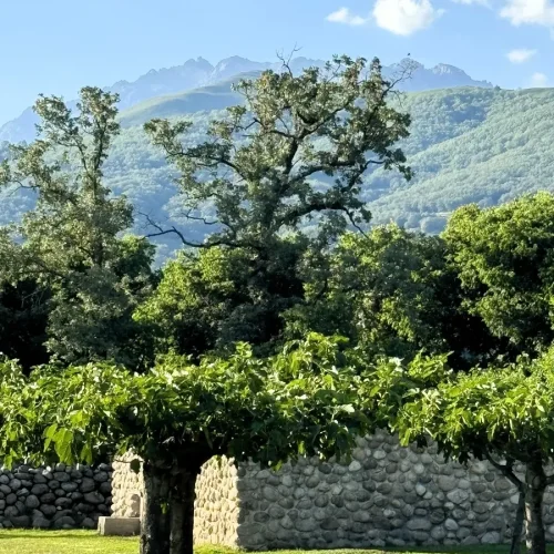 01 GENERAL (9)