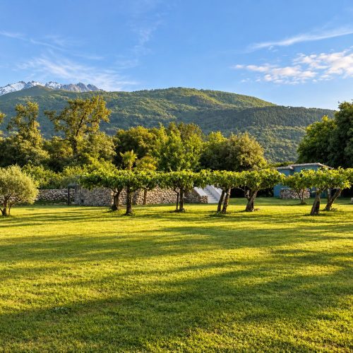 Pradera con frutales y la sierra de Gredos al fondo – casa rural Aprisco de Candeleda (Ávila)