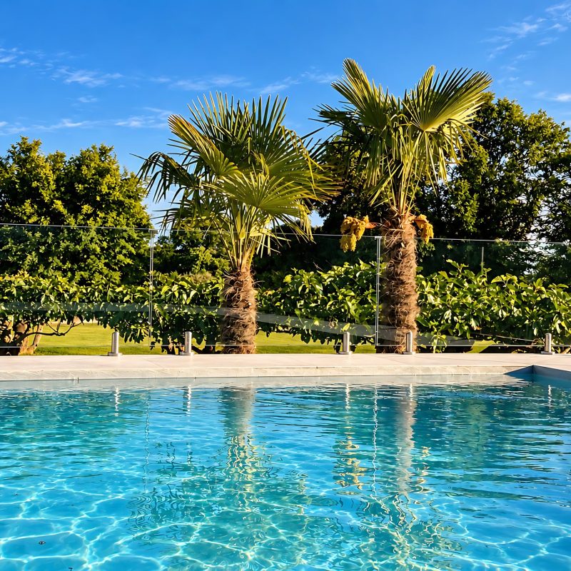 Piscina entre palmeras y frutales en un día soleado – casa rural Aprisco de Candeleda (Ávila)