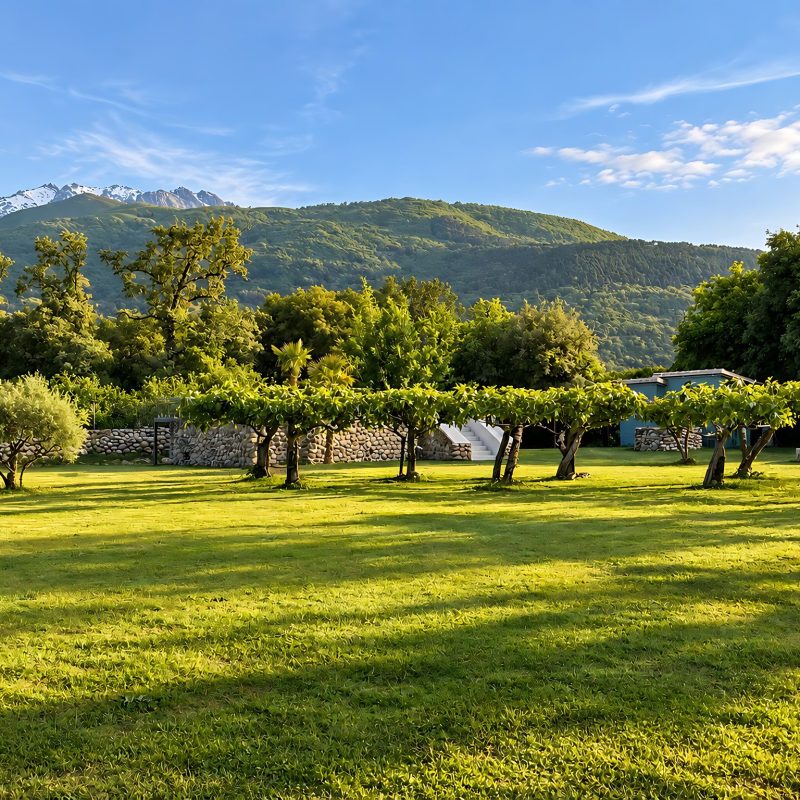 Pradera con frutales y la sierra de Gredos al fondo – casa rural Aprisco de Candeleda (Ávila)